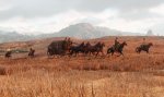 red-dead-redemption-2-screenshot-4.jpg