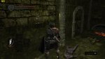 DarkSoulsRemastered 2018-05-25 11-52-56-43.jpg