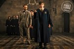 Fantastic-Beasts-The-Crimes-of-Grindelwald-Young-Newt-Scamander-Albus-Dumbledore.jpg