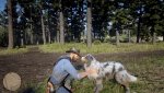 Red Dead Redemption 2_20181101005927.jpg