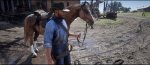 Red Dead Redemption 2_20181101015037.jpg