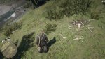 Red Dead Redemption 2_20181107163501.jpg