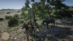 Red Dead Redemption 2_20181113083741.jpg