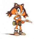 Sticks-sonic-boom-artwork.jpg