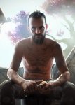 Far Cry New Dawn-5.jpg