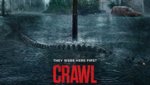 crawl1.jpg