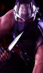 Ninja_Gaiden_2-971395.jpg