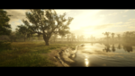 RDR2_2019_11_29_18_11_10_085.png