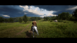 RDR2_2019_11_30_01_50_07_995.png