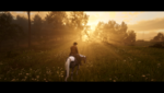 RDR2_2019_11_30_01_21_38_298.png