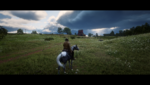 RDR2_2019_11_30_01_46_27_108.png