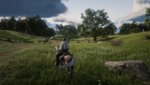 RDR2_2019_12_08_14_36_50_250.jpg