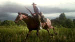 RDR2_2020_02_25_22_47_23_517.png