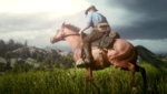 RDR2_2020_02_25_22_46_39_226.png