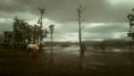 RDR2_2020_02_29_22_16_16_826.png