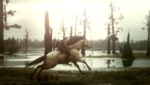 RDR2_2020_02_29_22_14_50_456.png