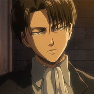 Captain Levi