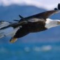 علی بی غم 0632