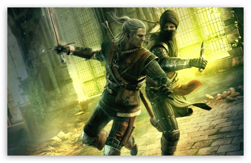the_witcher_2_assassins_of_kings_6-t2.jpg