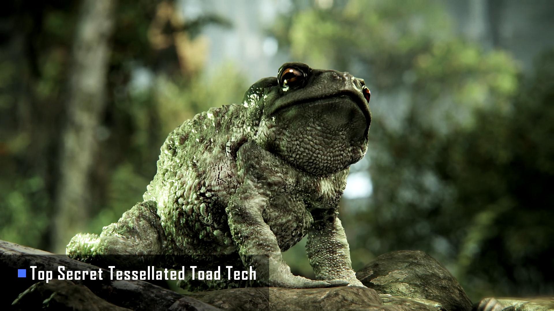 Crysis-3-Top-Secret-Tessellated-Toad-Tech.jpg