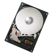 hgstdeskstar7k250finaldsx0x.jpg