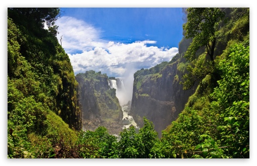 waterfall_forest-t2.jpg