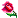 flower.gif