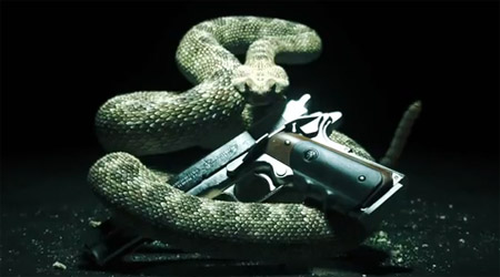 hitman-absolution-confirmed.jpg