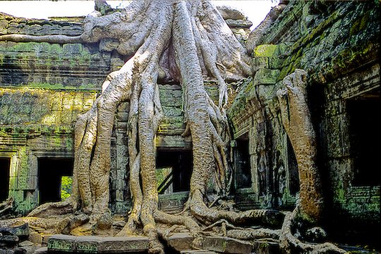 ta-prom-temple-angkor-wat.jpg