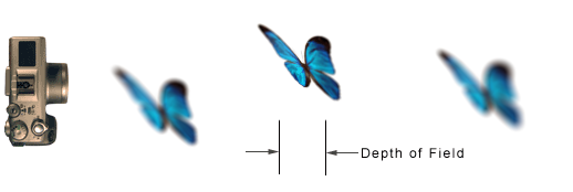 Depth_of_field_diagram.png