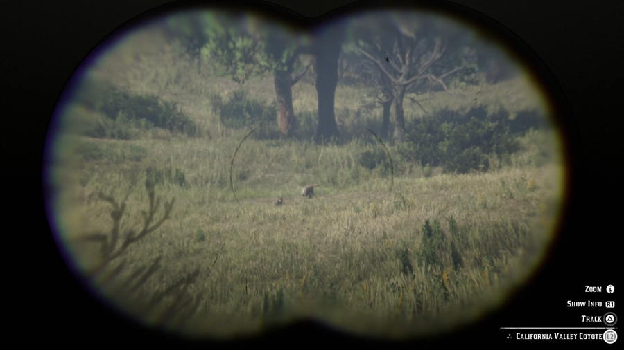 Coyote-Location-Red-Dead-2.jpg