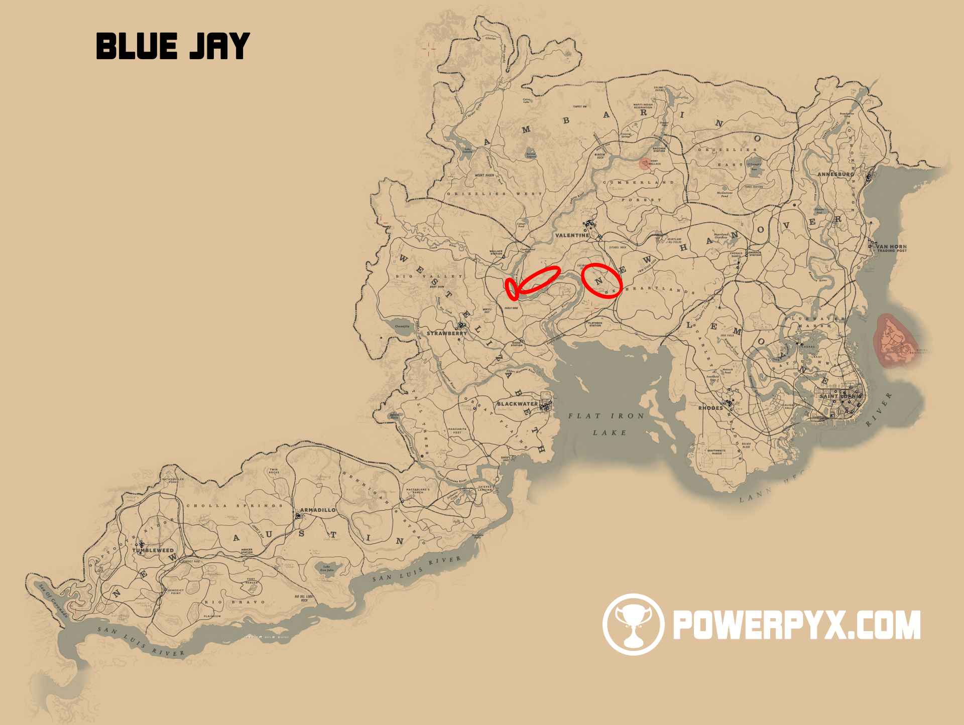 red-dead-redemption-2-blue-jay-location.jpg