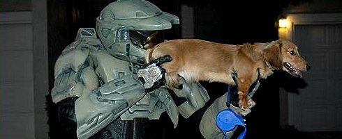 halo.jpg