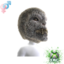 Locust-Mask.png