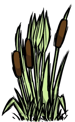 Reeds.png