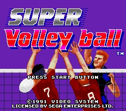 Super_Volley_Ball_GEN_ScreenShot1.jpg