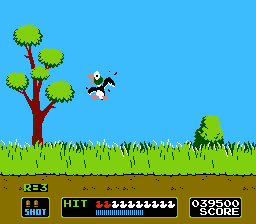 Duck_hunt_pic.PNG