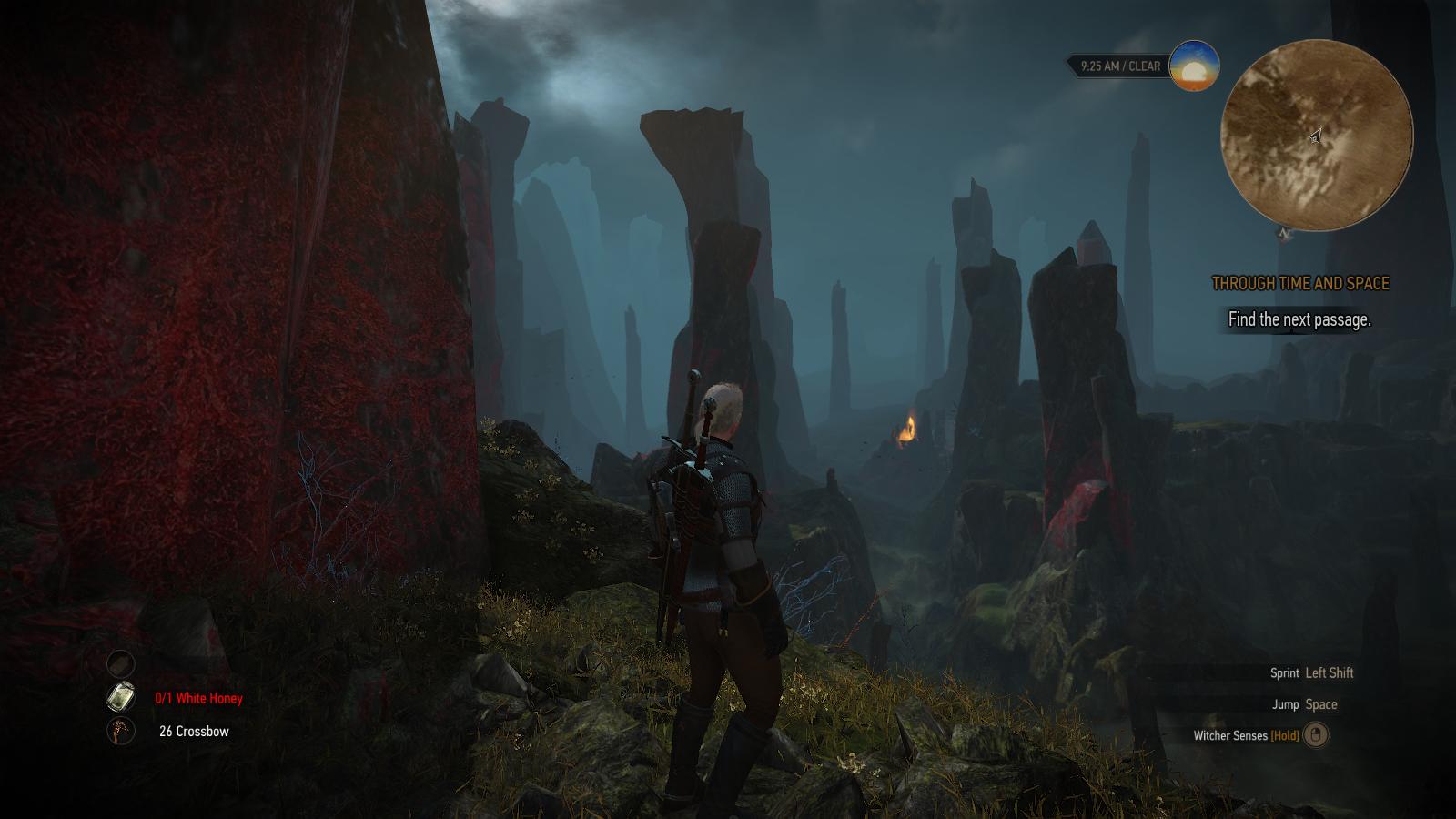 yi40_witcher3_2015-07-17_16-12-05-24.jpg