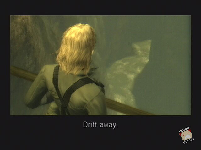 mgs353.jpg