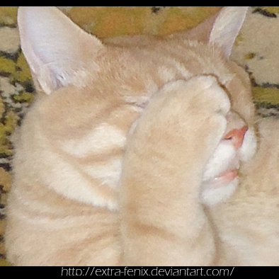 face_palm_persik_by_extra_fenix-d37ol0t.jpg