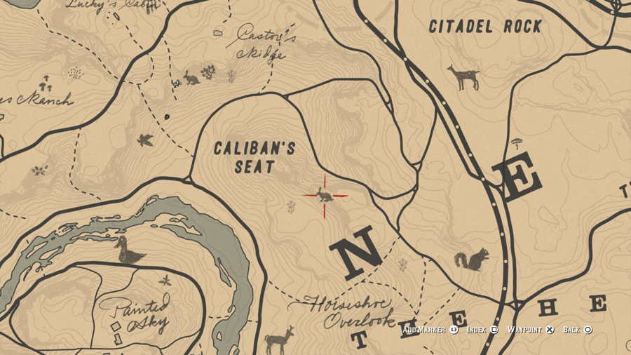 Rabbit-Location-3-Red-Dead-2.jpg