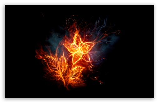 fire_flower_1-t2.jpg