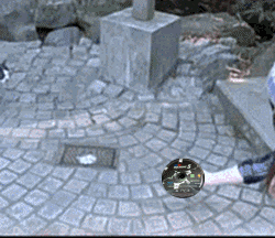 CatKnewFakeBeforeSee.gif