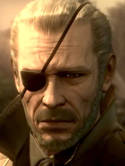 Big_Boss_MGS4.jpg