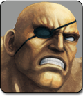 vs_character_sagat.png