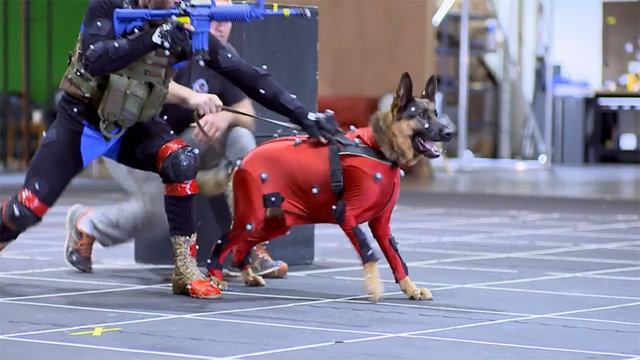 call-of-duty-ghosts-mocap-dog_960.0_cinema_640.0.jpg