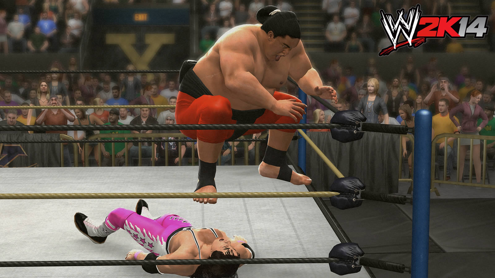 WM10hartyokozuna_091713051512516.jpg