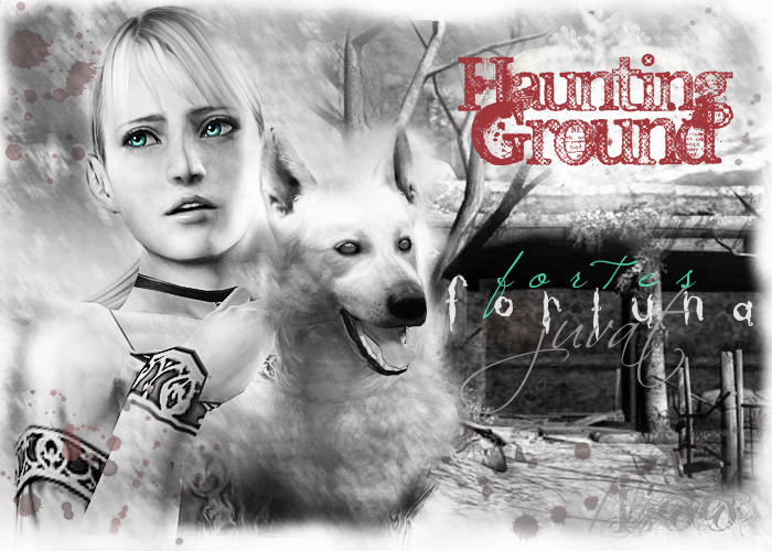 Haunting_Ground_by_aLeEcat.png
