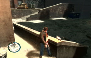 gta4_pigeons_algonquin_31.jpg