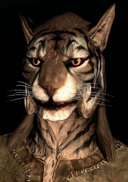 421px-SR-race-M-Khajiit.jpg